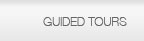 Guided Tours